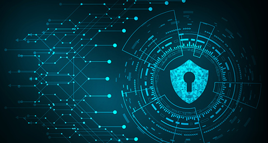 Cybersecurity: The Secret Life of Your Online Data